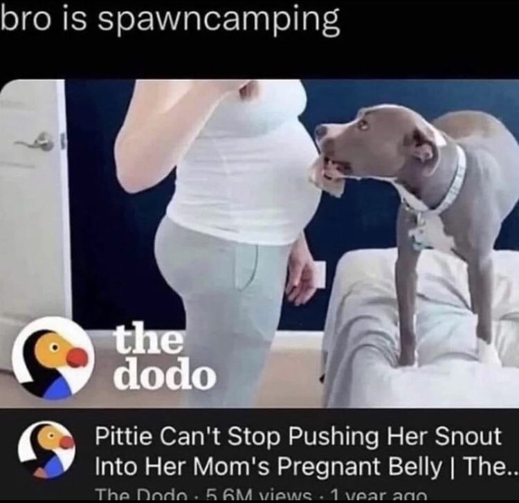 💀𝕭𝖎𝖌 𝕵𝖔𝖊ץ💀 (@bigjoeyslaps) on Twitter photo 