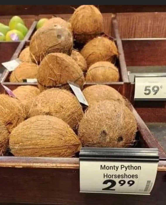 I wonder how they got there… #montypython