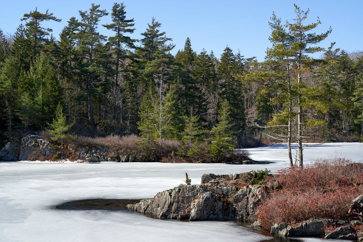 DrRob_Thacker's tweet photo. Hello #charlieslake! Been quite some time since @LM_Campbell were able to hike out to #BMBCL. Probably pushed things a little hard, we were both wobbly at the end, but it was a truly gorgeous &amp;☀️filled morning. So nice 🙏to be out and about again. #photography #mikmaki https://t.co/qYisPcHbdu