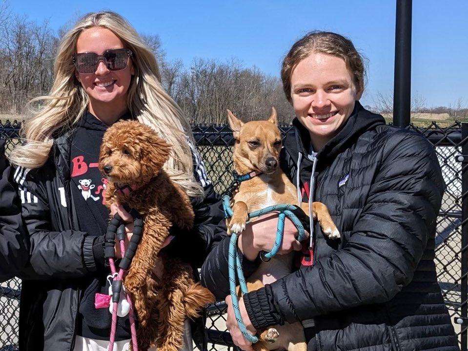 You’re welcome, everyone. I’ve really got the hard-hitting journalism here. Sydney and Grace’s dogs (Chanel and Walnut) meet for the first time: #iuwbb