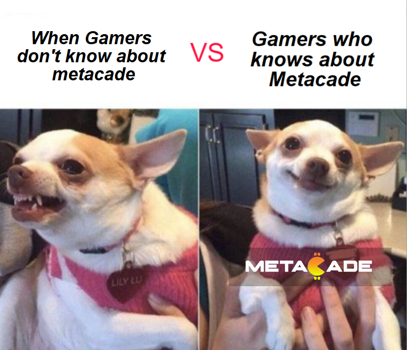 Vikkstar tweet media