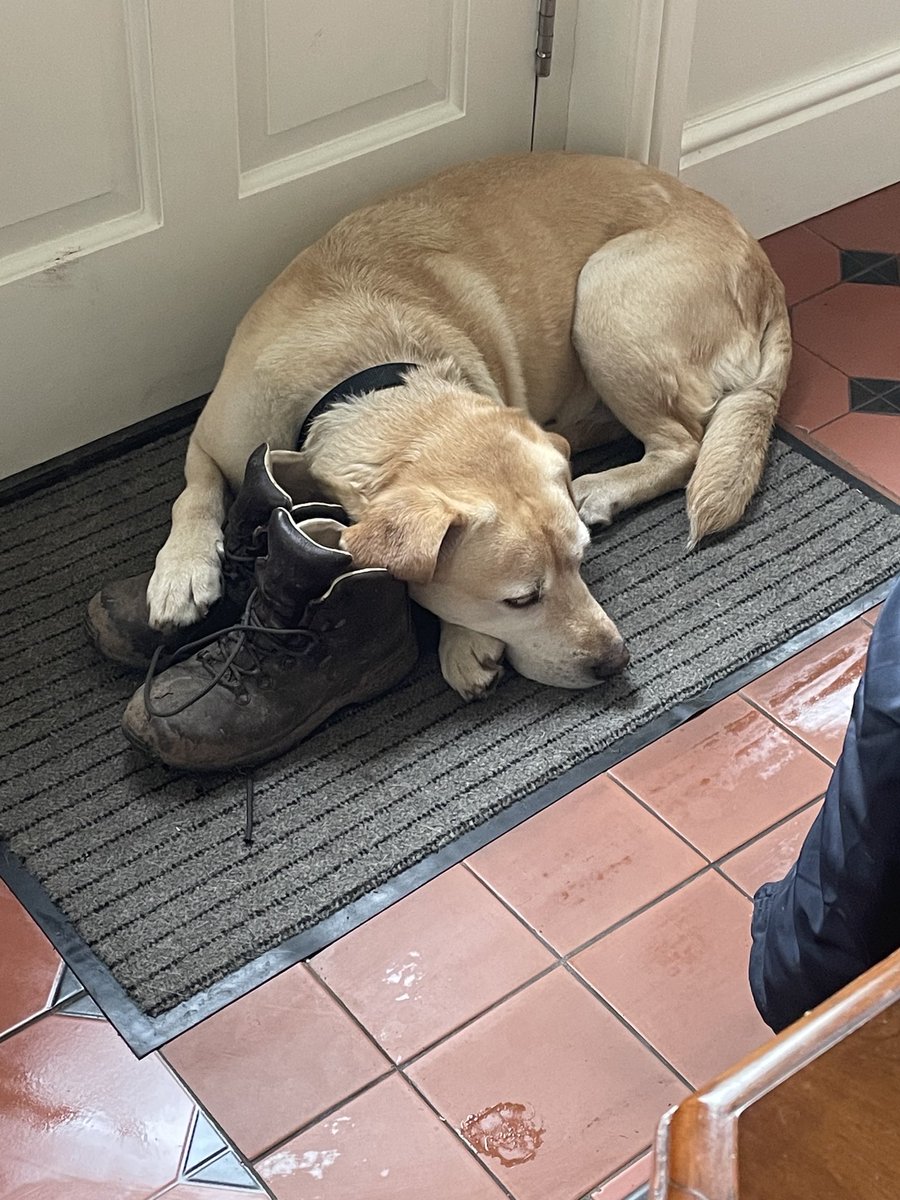 Winifred Robinson tweet media