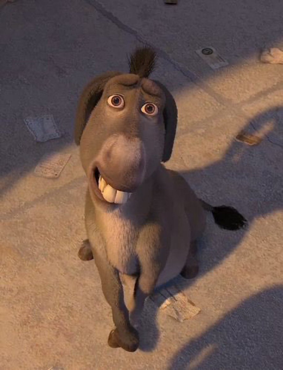 pets whenever you have a snack in front of them
