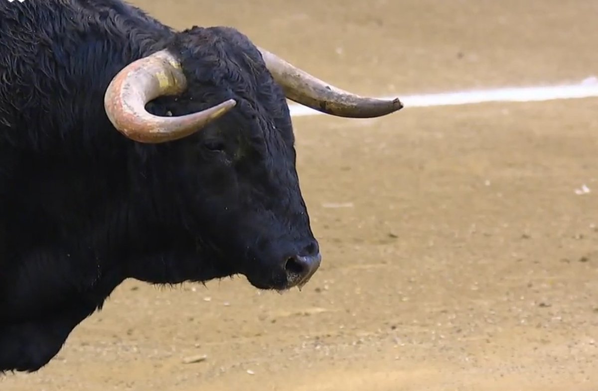 Birlibirloque on Twitter "Intolerables los pitones de los toros de