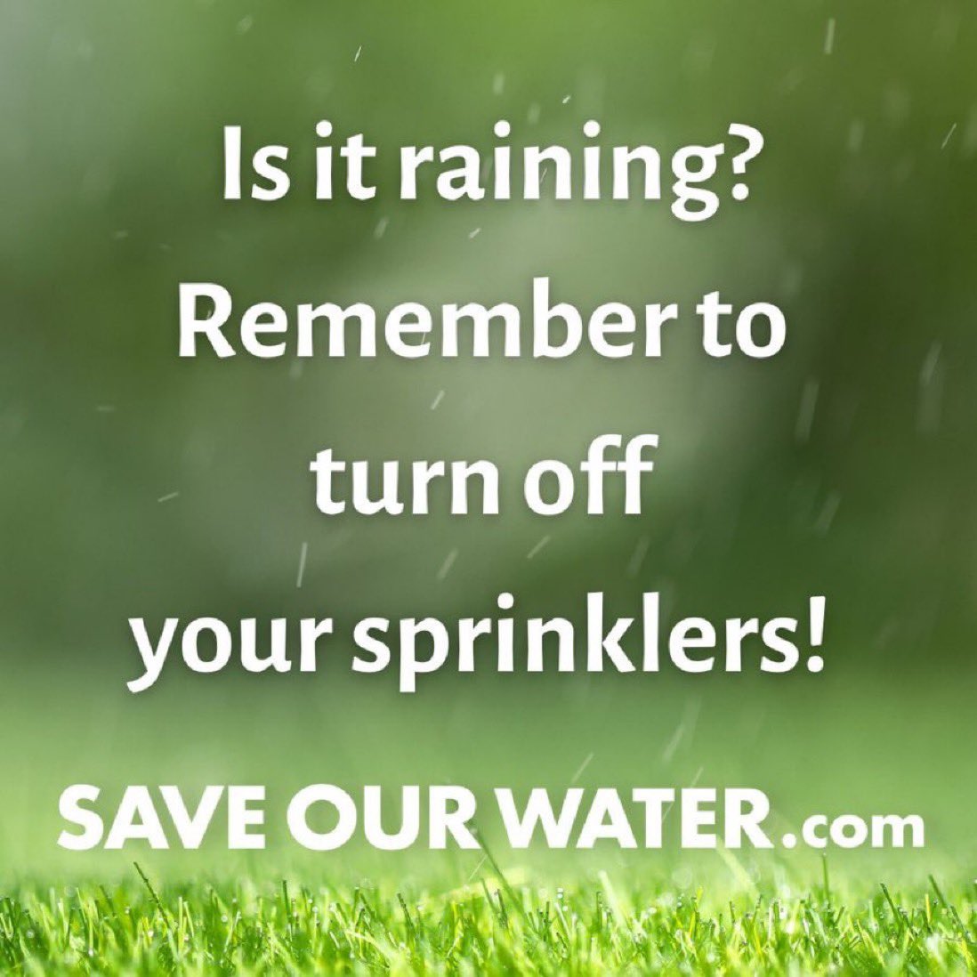 sdcwa's tweet photo. ☔️ Rain on, sprinklers off! 💧
#WaterSmartSD #cawater #SaveOurWater
#Rebates💧San Diego County Embraces WaterSmart Living: https://t.co/1LnJNWI4Ow
#CAwx https://t.co/Bv0ZTPUTVk
