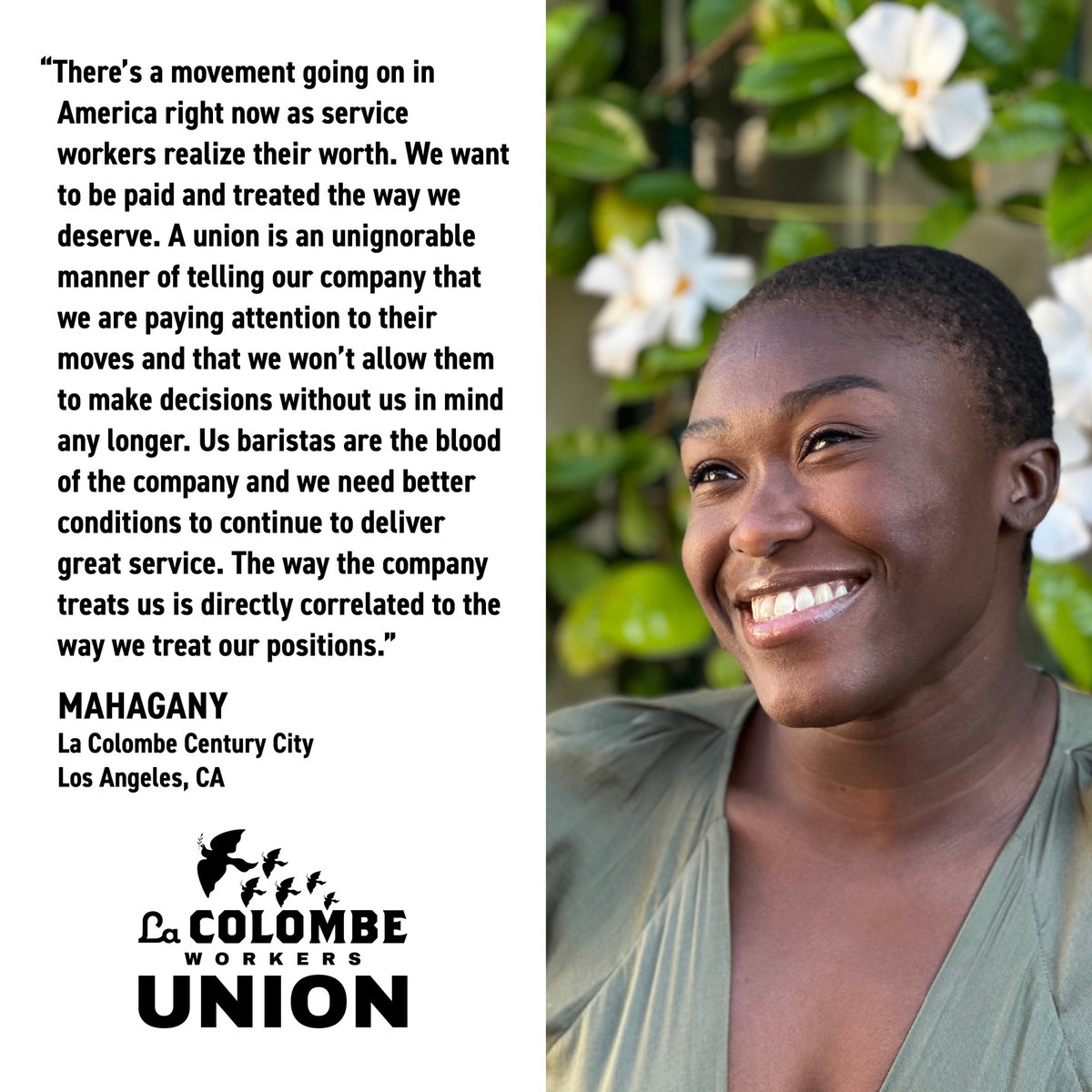 La Colombe Workers Union tweet media