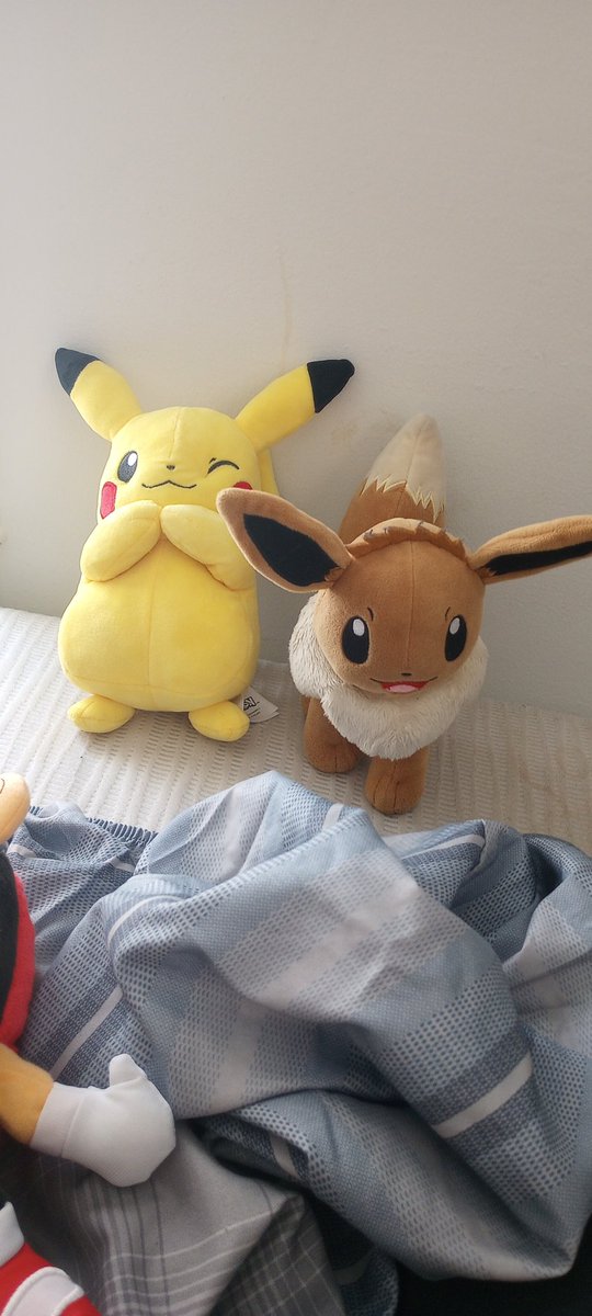 TheodoreTheLion's tweet photo. Got new plushies!!! Sonic The Hedgehog, Rat The Flying Squirrel, and Mighty The Armadillo...Also got another Pikachu plush Eevee isn't new I had her for a while but yeah I got new plushies Getting more soon.... https://t.co/HQh5AO5tYj