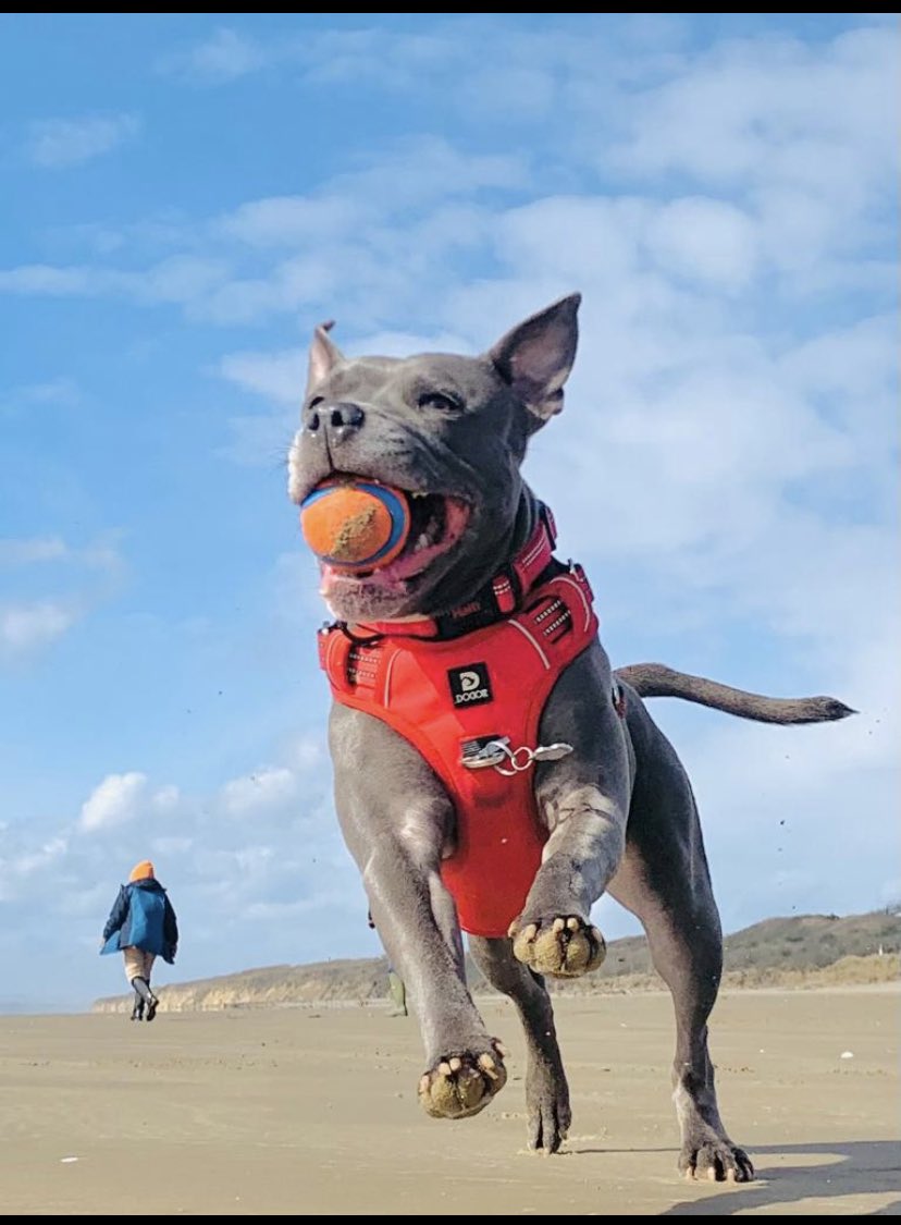 Isa"s Nanny tweet media