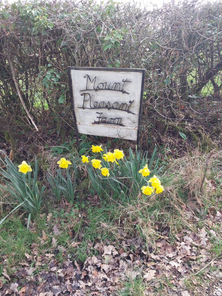 Happy Spring Equinox!