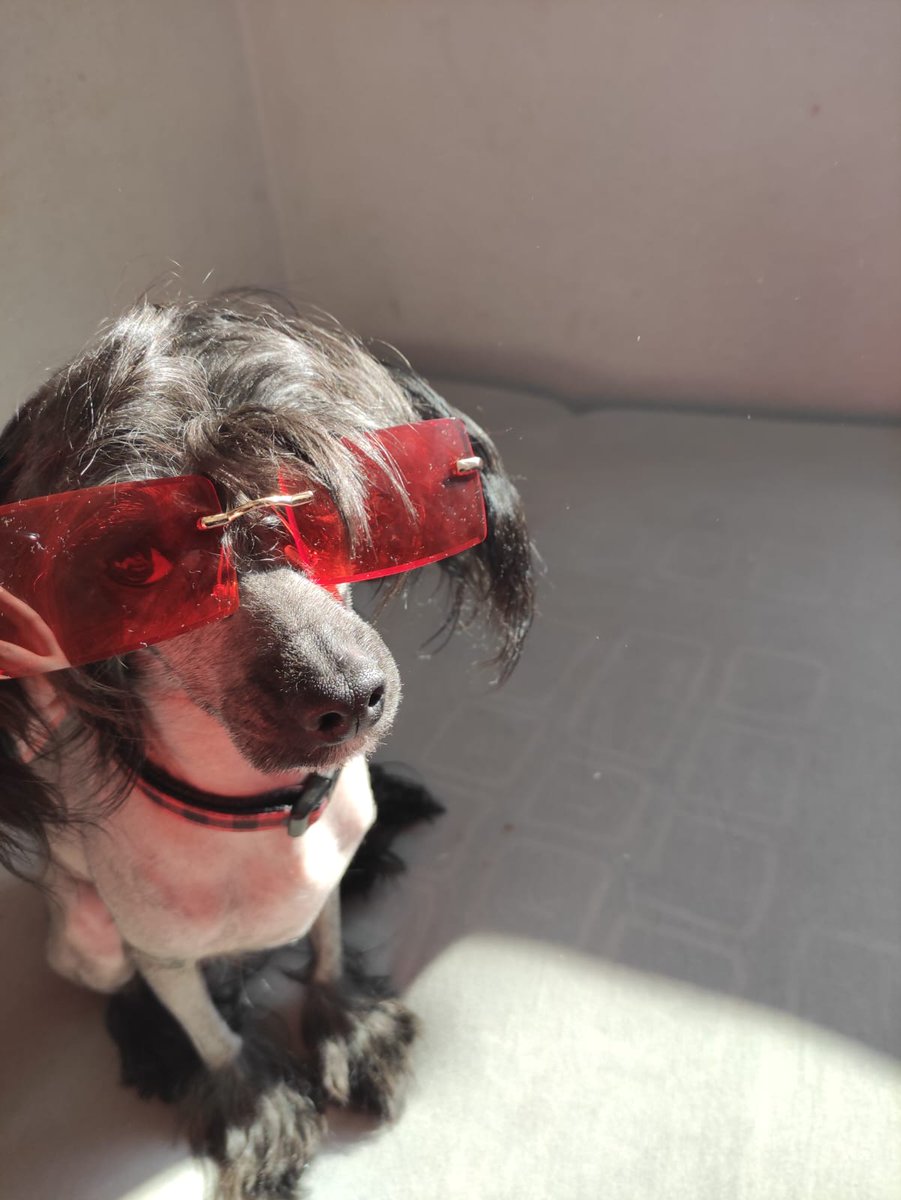 luciana_nadine_ tweet media