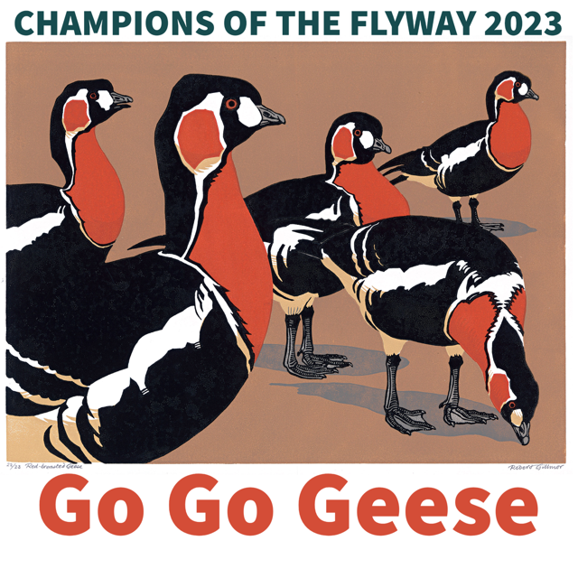 Julieredwing's tweet photo. 2023 @flywaychampions birdrace is March 27 with teams fundraising for @BirdLife_News partners in Kazakhstan & Bulgaria to protect #RedbreastedGeese on migration & their wintering grounds. You can donate to the cause by picking a team at https://t.co/oVbwm6AQV2 #COTF23 #gogogeese https://t.co/ZLglRecm1p