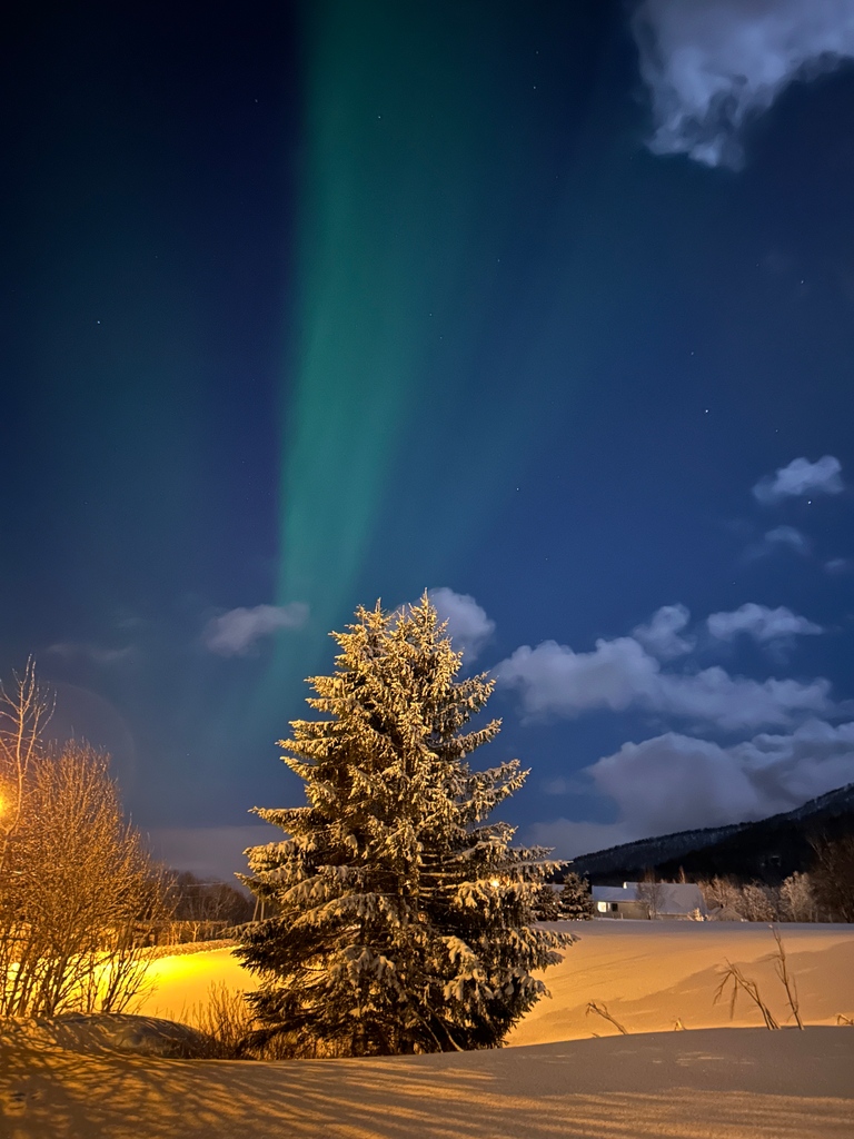 Believe it or not, I took this photo with my iPhone.

#auroraborealis #nordlys #northernlights #nightshot #nightsky #nightshooters #nightshooterz #longexpo #longexposure_shots #longexposure #naturelovers #iphone