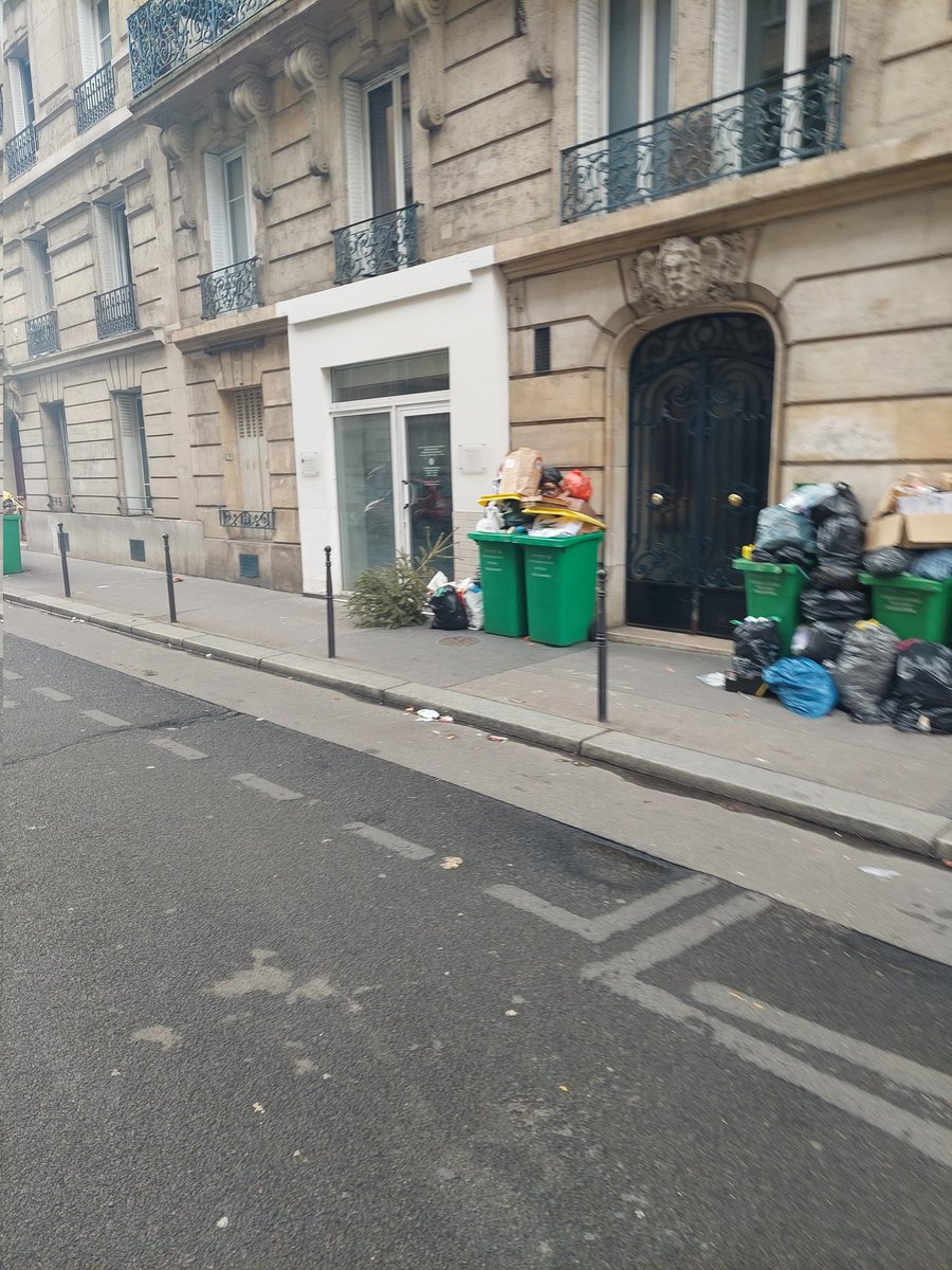 Drassilam1's tweet photo. #chasseursdesapins belle fournée pour un 19 mars ! 
@AdrienLarouzee une précision sur les règles, si un même sapin est au même endroit depuis une semaine, on peut le reprendre ? https://t.co/f6EVxGde5D