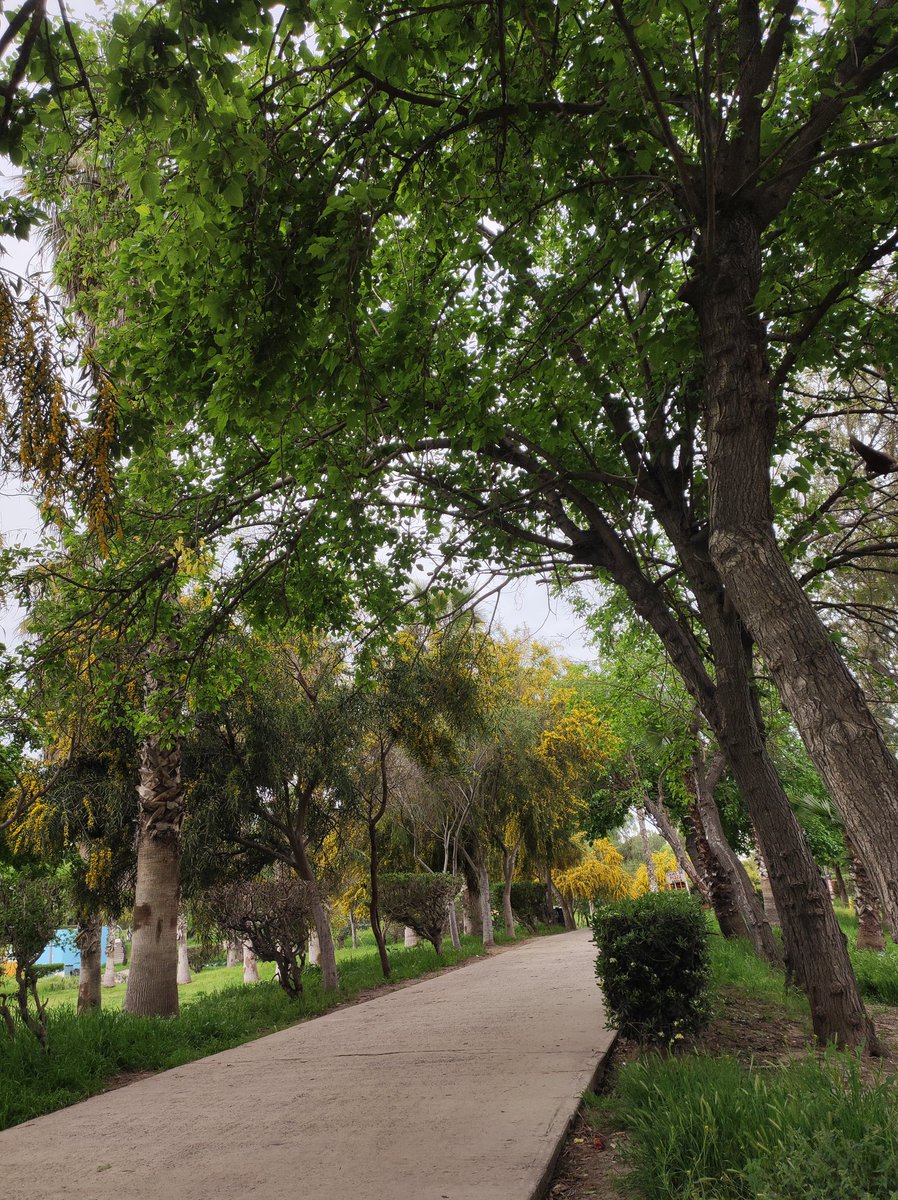CitliIba's tweet photo. #runingday @httwnty_ https://t.co/DXqYyc8H3L