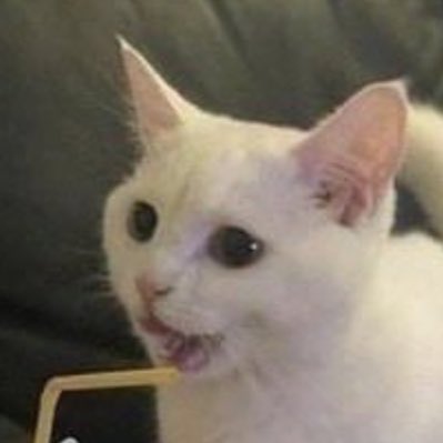 CallowRay's tweet photo. #NewProfilePic https://t.co/huNqporR8b