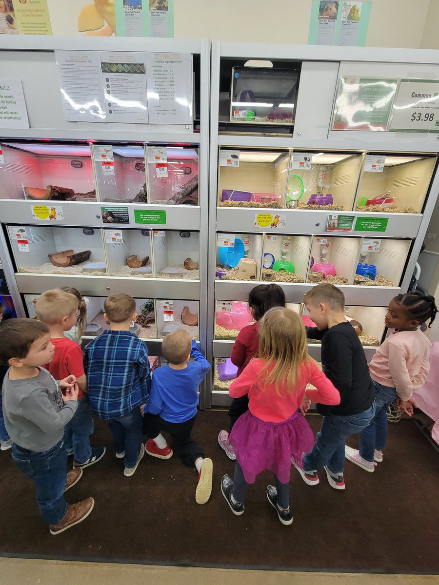 CarlenaSheeran's tweet photo. The #HCSPreschool scholars in Ms. Arnold’s class @RineyvilleE learned about jungle animals & desert animals. 🐒🦎 They recently took a field trip to Pet Supply Plus in Elizabethtown. 🐒🦎🐍🕷️#HCSBetterTogether #FieldTripFun #MakingSchoolMemories #AnimalUnit https://t.co/GCse97C8L6