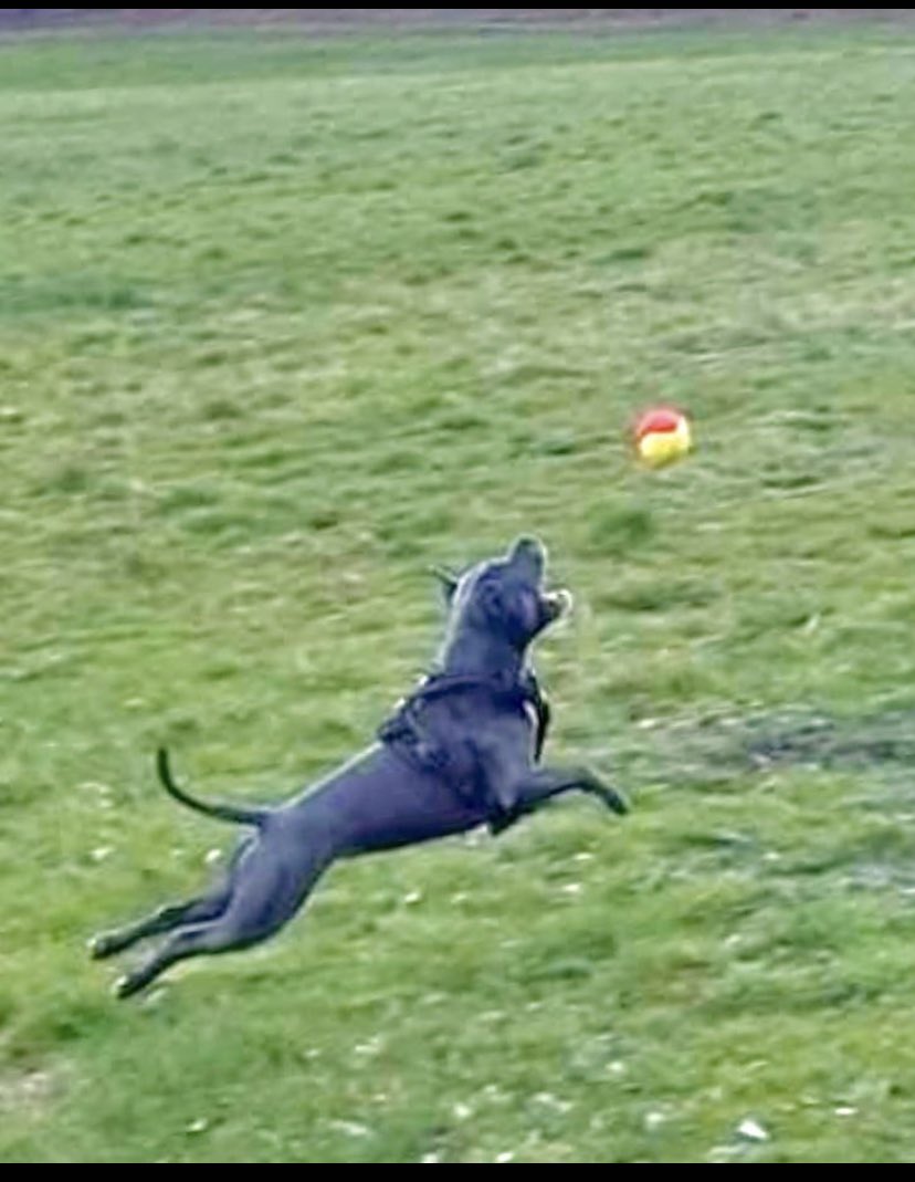 Isa"s Nanny tweet media