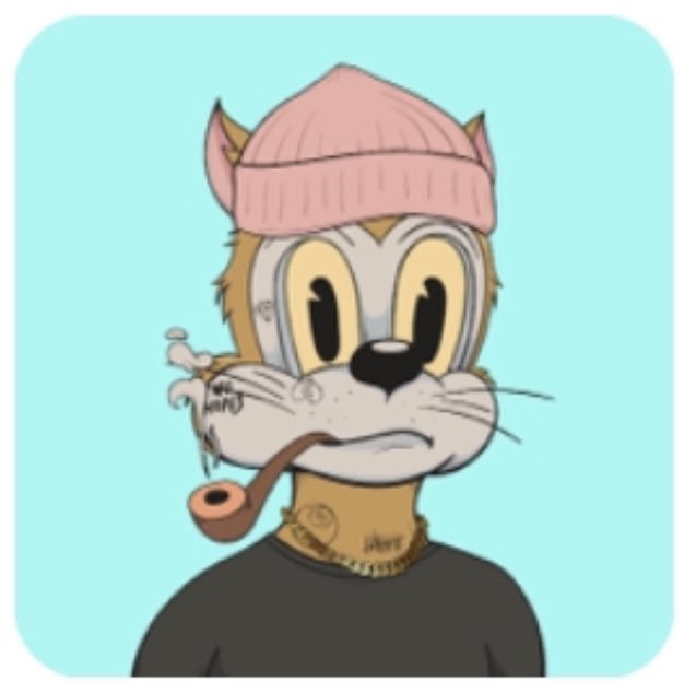 SurfCardiff tweet media