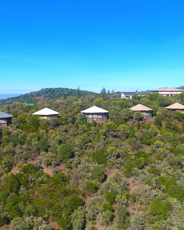 StreamworldA's tweet photo. Book 
Kika lodges  with us on streamworldadventures@gmail.com 0794582203

Paulndunguexposed mandamano luos Charlene ruto Nairobi raila odinga uhuru president https://t.co/U91EbJXLW9