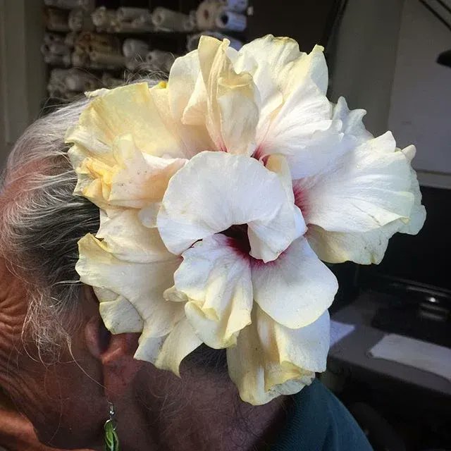 saintdutchess's tweet photo. Just very obsessed with his Hawaiian old lady on instagram who just posts pictures of flowers in her hair. https://t.co/qegdce5kkK