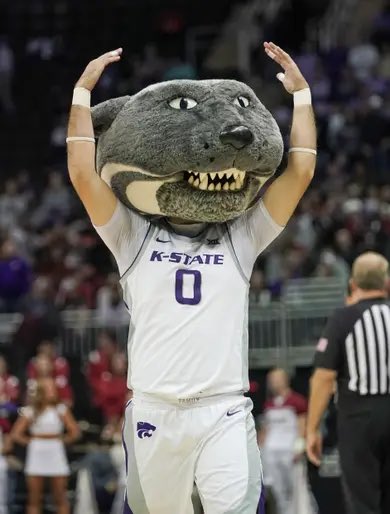 by far the worst mascot. either be a full on furry or don’t bother