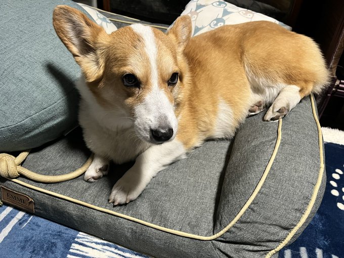 おはようございます。 