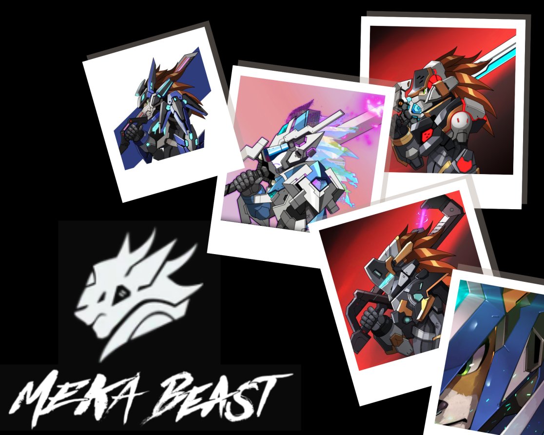 SALAMANDER tweet media