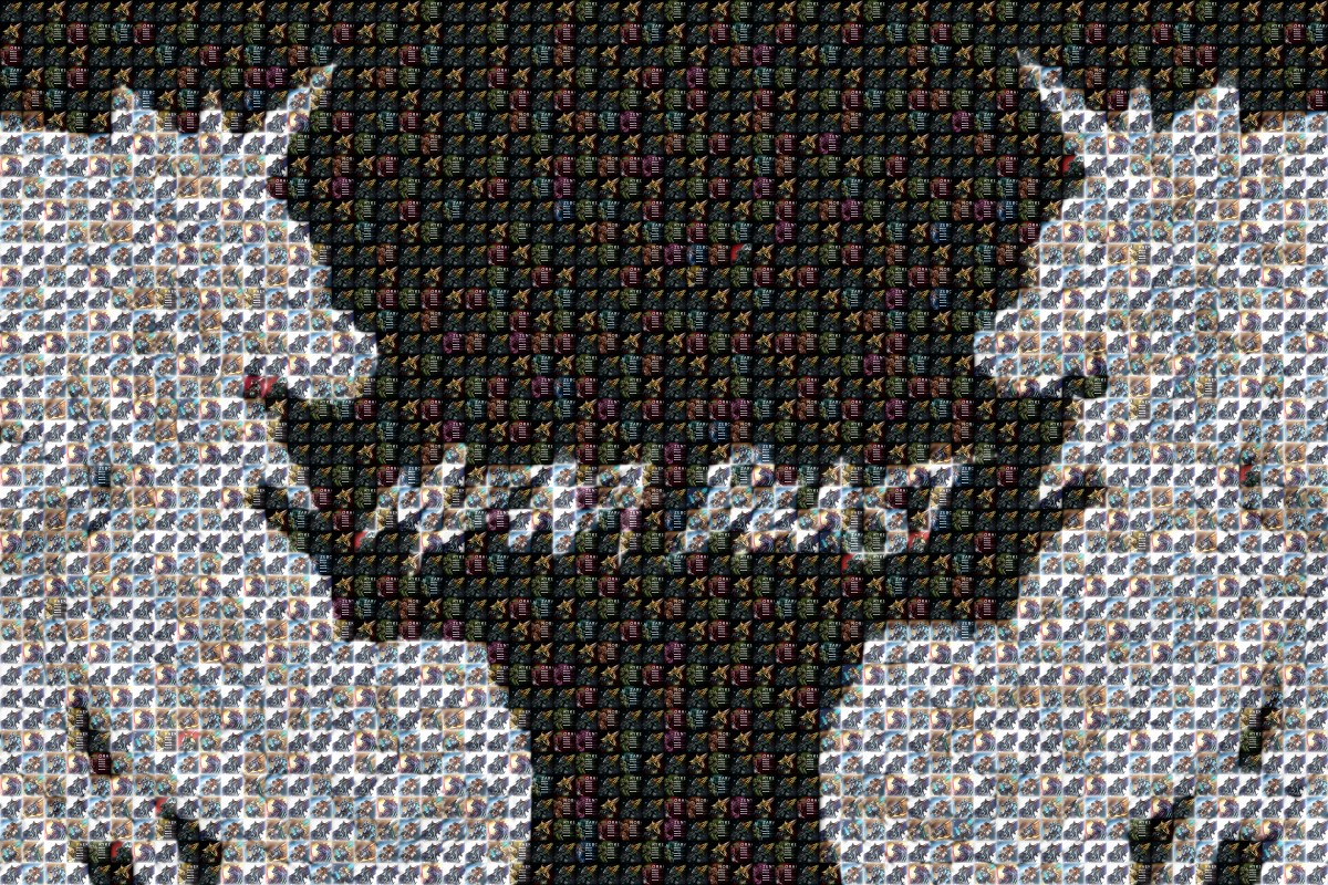 SALAMANDER tweet media