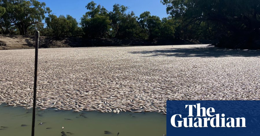 1. Water is a finite resource.

2. Australia is the driest inhabited continent on planet Earth.

3. Cotton is one of a number of extremely water intensive crops.

4. Why the fuck is anyone permitted to farm water intensive crops in Australia. 

#auspol #Menindee #MurrayDarling