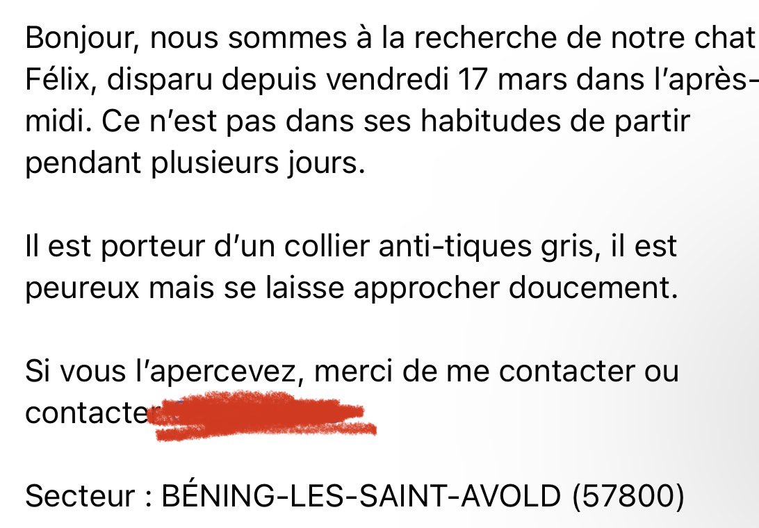 jlehbr's tweet image. Mon chat a disparu si jamais vous l’apercevez, merci de mon contacter. Secteur BÉNING-LES-SAINT-AVOLD 57800