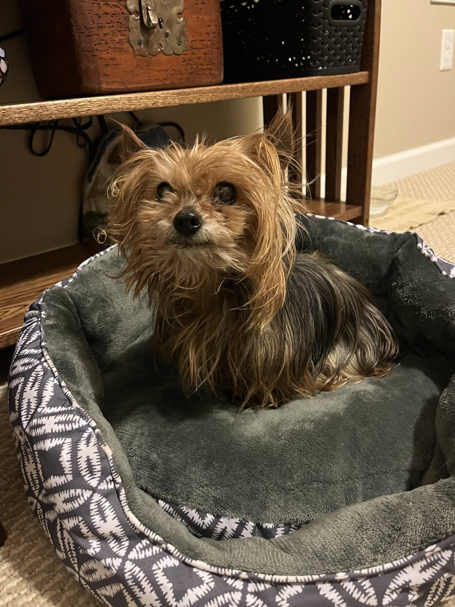 Reed Timmer, PhD tweet media