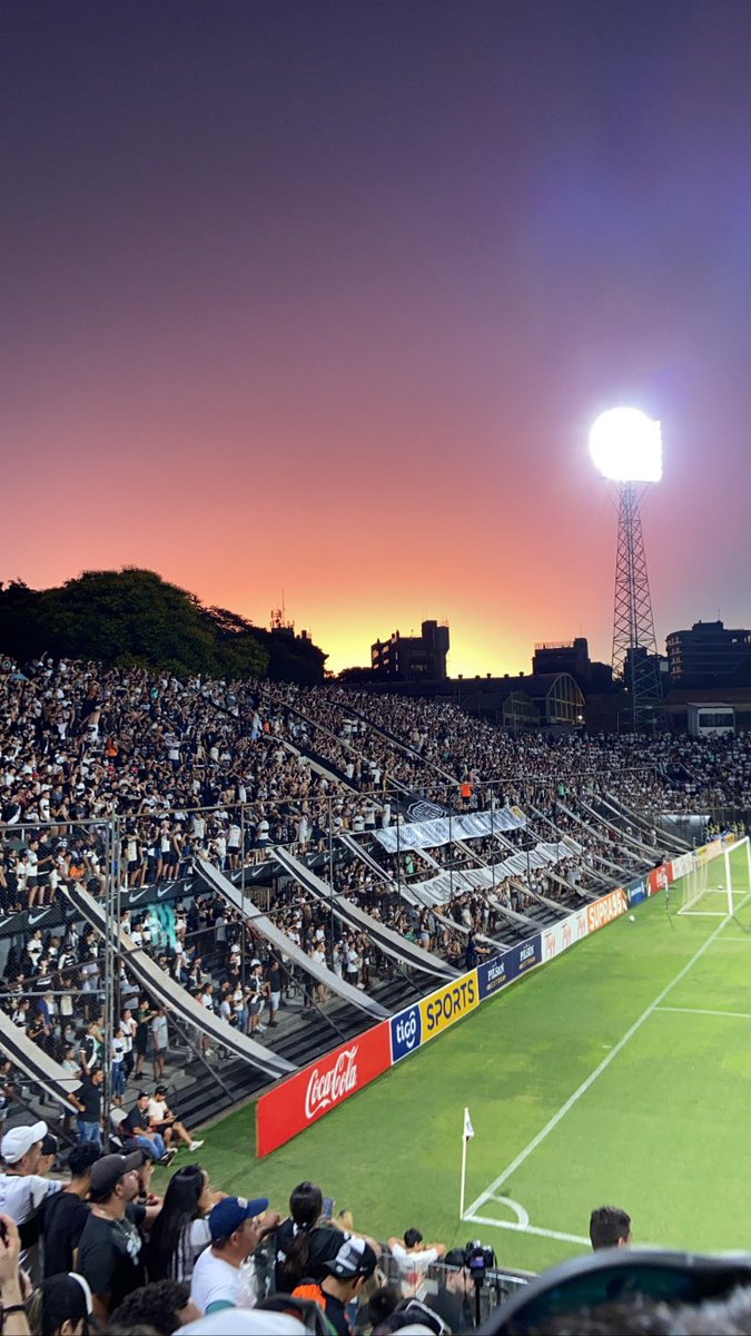 GERALDINE tweet media