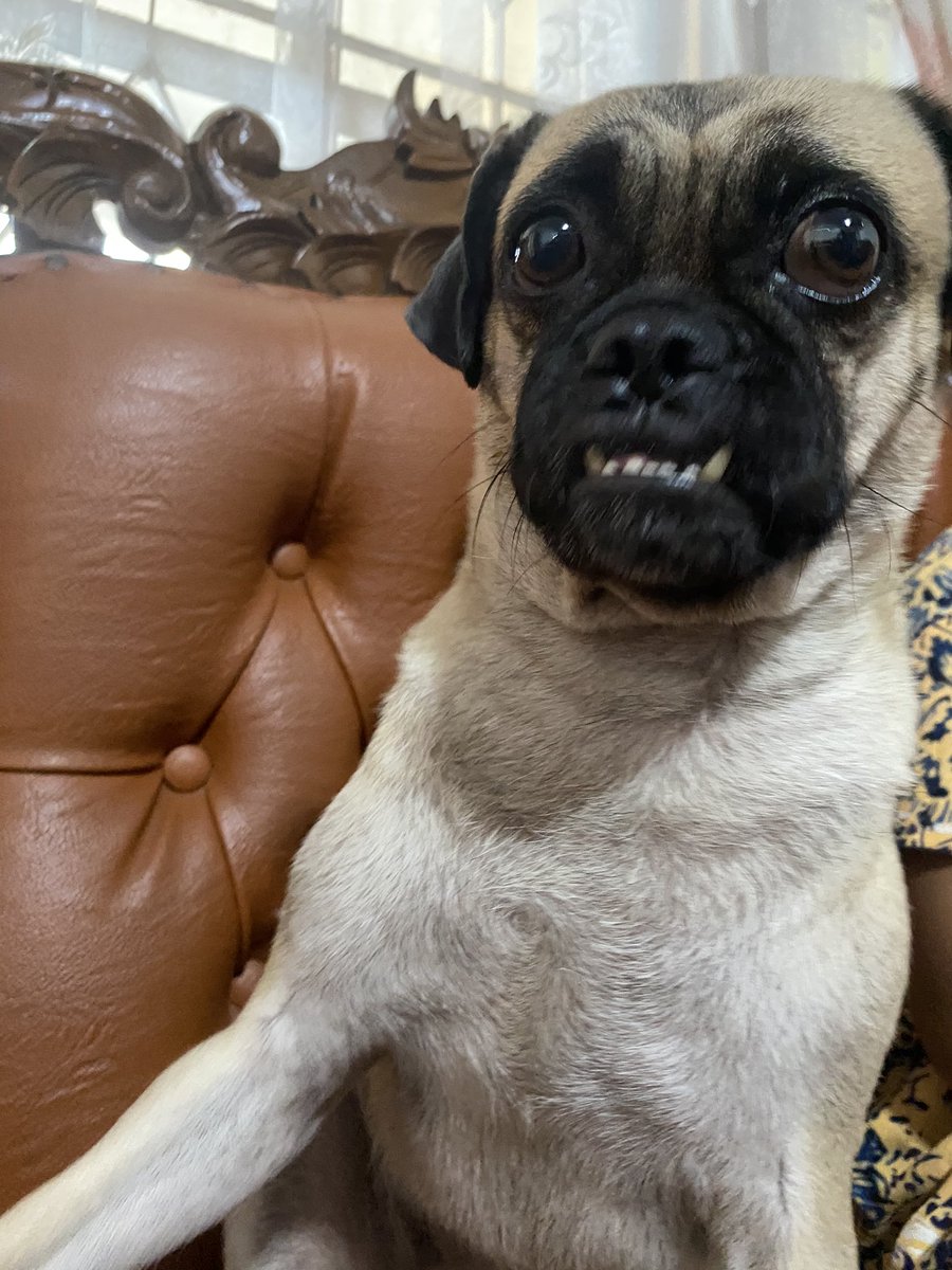 Udah lama ga nyetor foto ciki