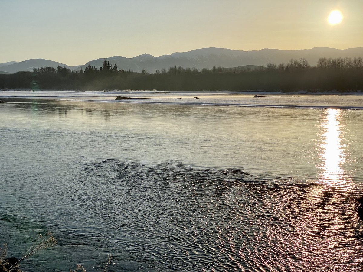 taylorbachrach's tweet photo. Drove upriver from Prince Rupert yesterday morning, and the mighty Skeena was showing off as usual. Stunning at any time of year. https://t.co/Phedeh1Dmn