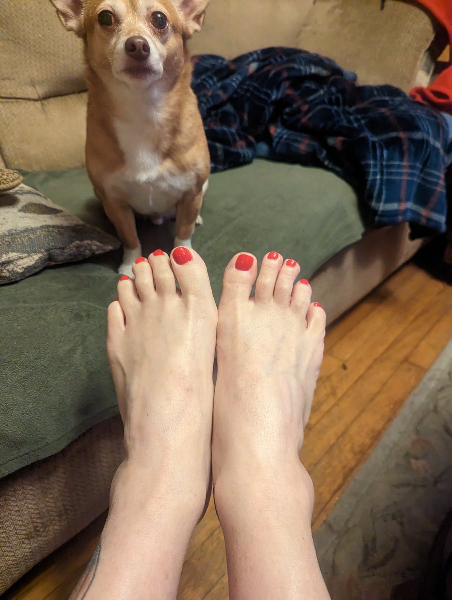 Pengo64's tweet image. Did my toes with Color Street!