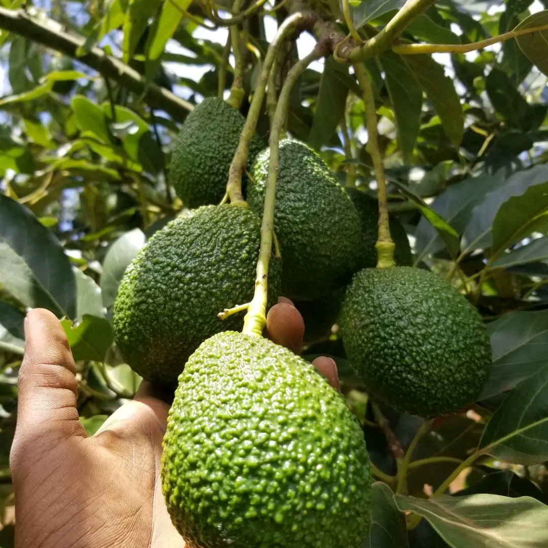 How to do value addition? 1. Processing This involves transforming