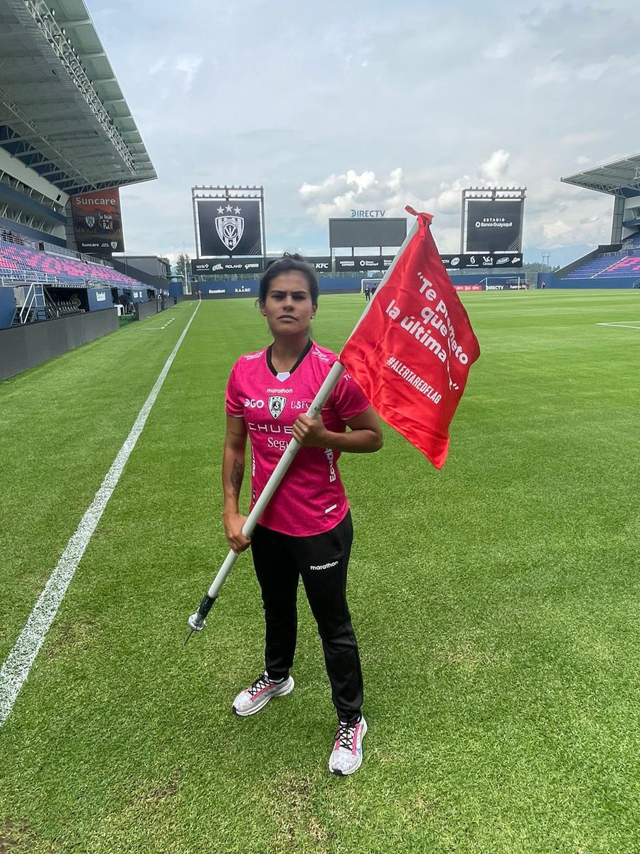 PilsenerEcuador's tweet photo. 🚩 @idv_ec también le dijo que NO a estas redflags 🚩 Juntos por un Ecuador sin violencia de genero @dragonasIDV #AlertaRedFlag https://t.co/YLiDn7oHzk
