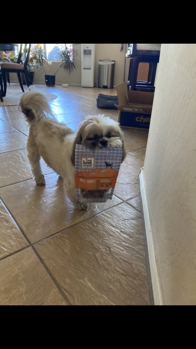 This box is empty! Oh wait, look what I found! #chewy #iandloveandyou