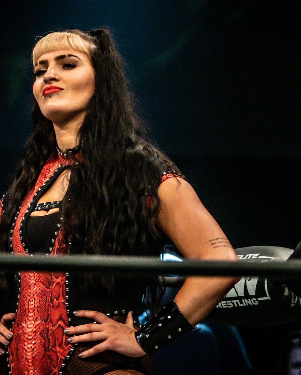 stephdelander's tweet image. Within less than a year I have appeared on @AEW , @IMPACTWRESTLING , @WWE @GCWrestling_ . Get on my level 🚀 #WWE #AEW #IMPACT #GCW