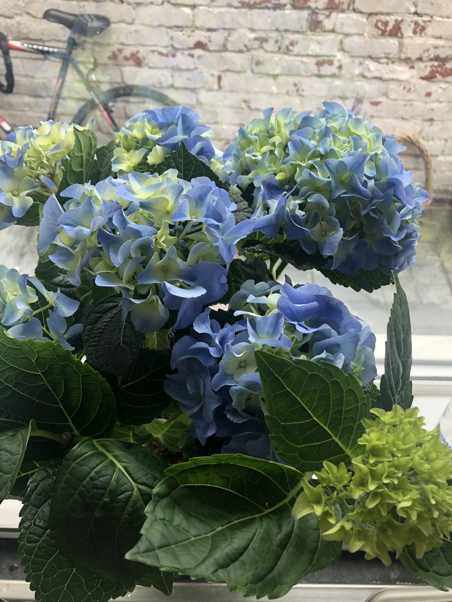5yllol's tweet photo. Happy Mother’s Day to my lovely mum and thank you to my lovely Ben for my flowers and gifts xx https://t.co/OY9h4nsMJu