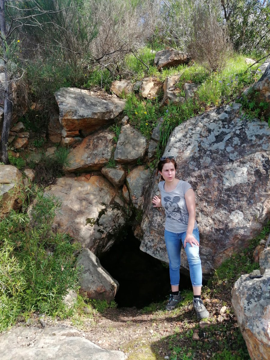 acfluisa's tweet photo. #happyplace #happyday #walking #nature https://t.co/B6xgji6Qf9