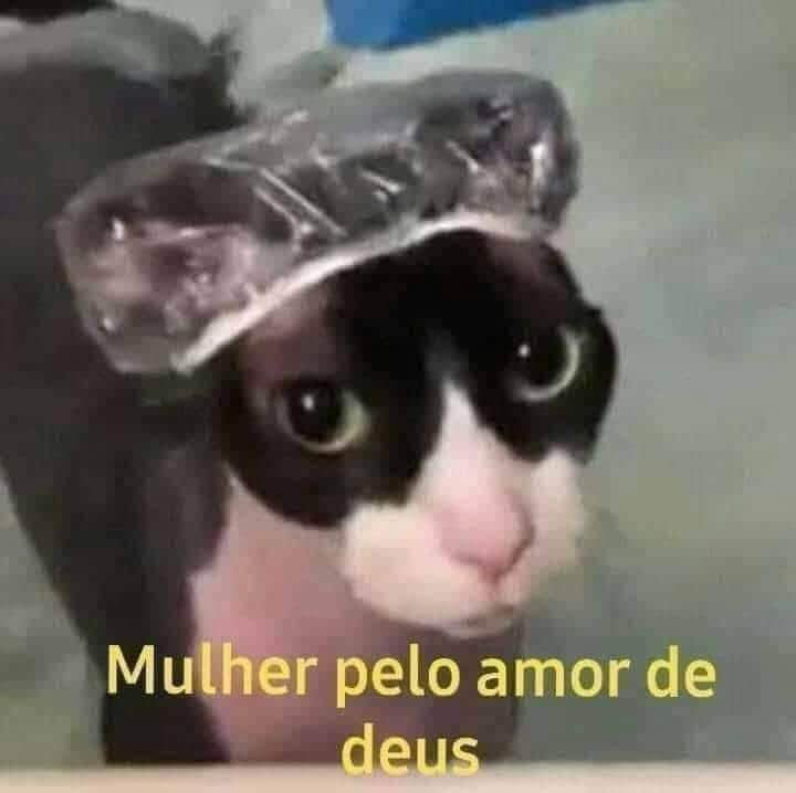 clarappe's tweet photo. o meu é o mulher pelo amor de deus https://t.co/TcfB94aMbs