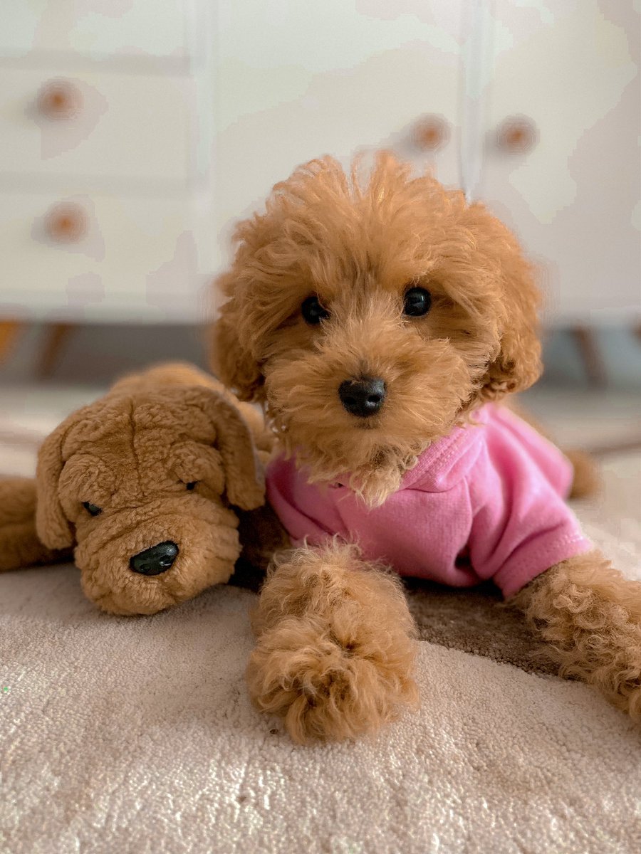 Peki sizin antidepresanınız nedir