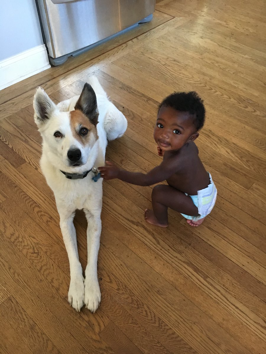 TexDworkin's tweet photo. @LeslieFeinzaig This pic of my daughter and pooch is 5 years old but has both of what you're looking for so hope it double helps ❤️ https://t.co/GKHWB2AEP5