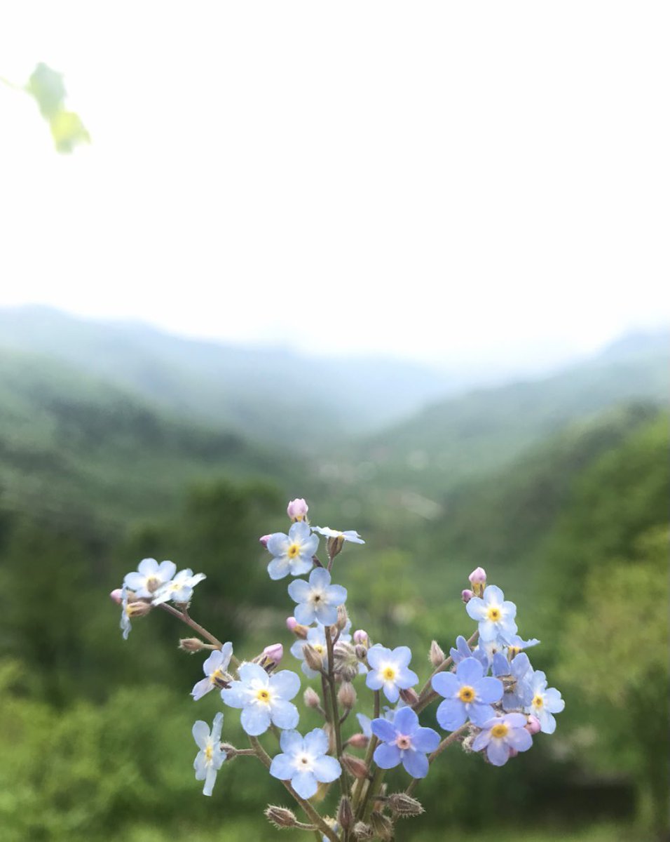 guuzestee's tweet photo. 💙 https://t.co/qBnbZVgLcS