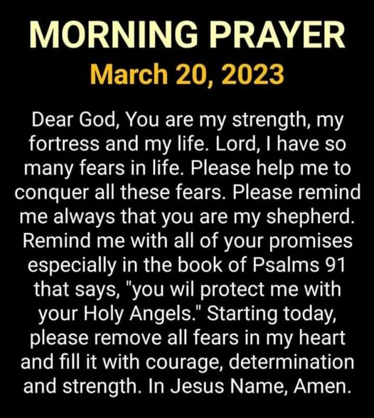 CarmelMMartin8's tweet photo. Let us pray . . .
#Prayers #MorningPrayers #DearGod #GodMyLife #GodMyFortress #Fears #GodMyShepherd #Amen #GodsPromises #Angels #Courage #Strength #Determination #Amen #Psalms91 #HolyAngels https://t.co/0loFld0ook