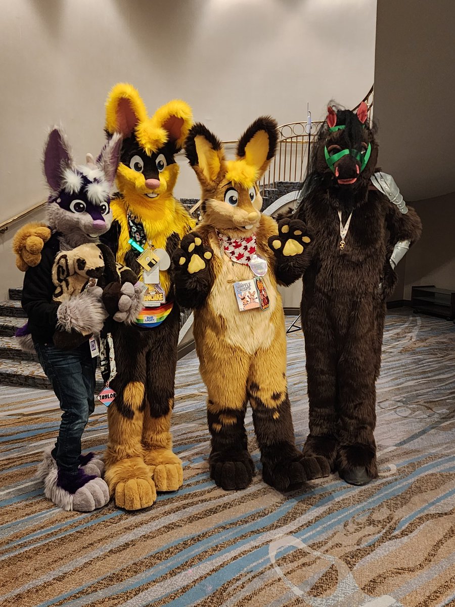 aukema684's tweet photo. Had so much fun at Furnal Equinox, it was my first full con. I loved it so much, it has fueled the fire for my fluffy fascination. Can't wait for my next con
#furnalequinox2023 #FurnalEquinox #furry https://t.co/6ooL1EqVVE