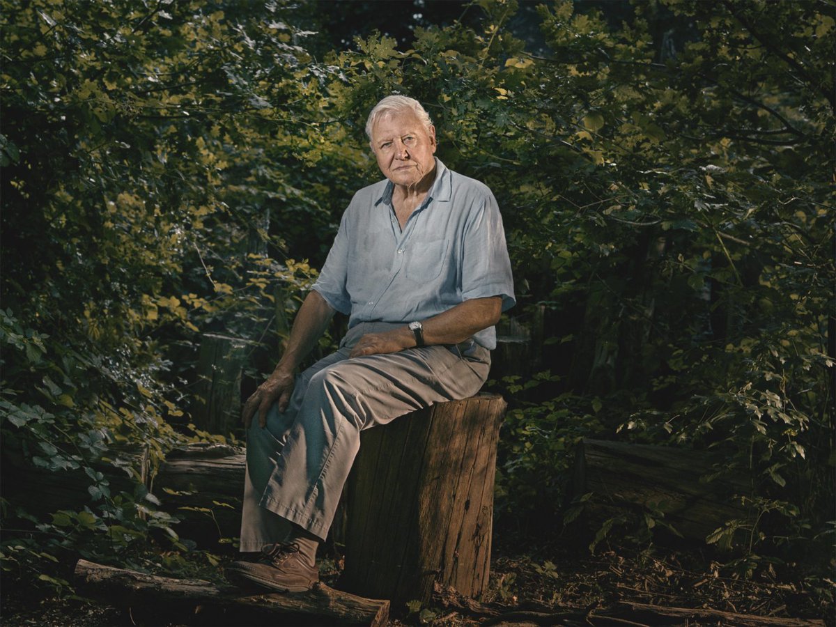 Sir David Attenborough's Wild Isles tonight showed just how valuable native woods are for a wide diversity of plant and animal life. You can grow Scotland's native woodland by contributing to our appeal to buy and plant up Ericstane near Moffat - bordersforesttrust.org/ericstane