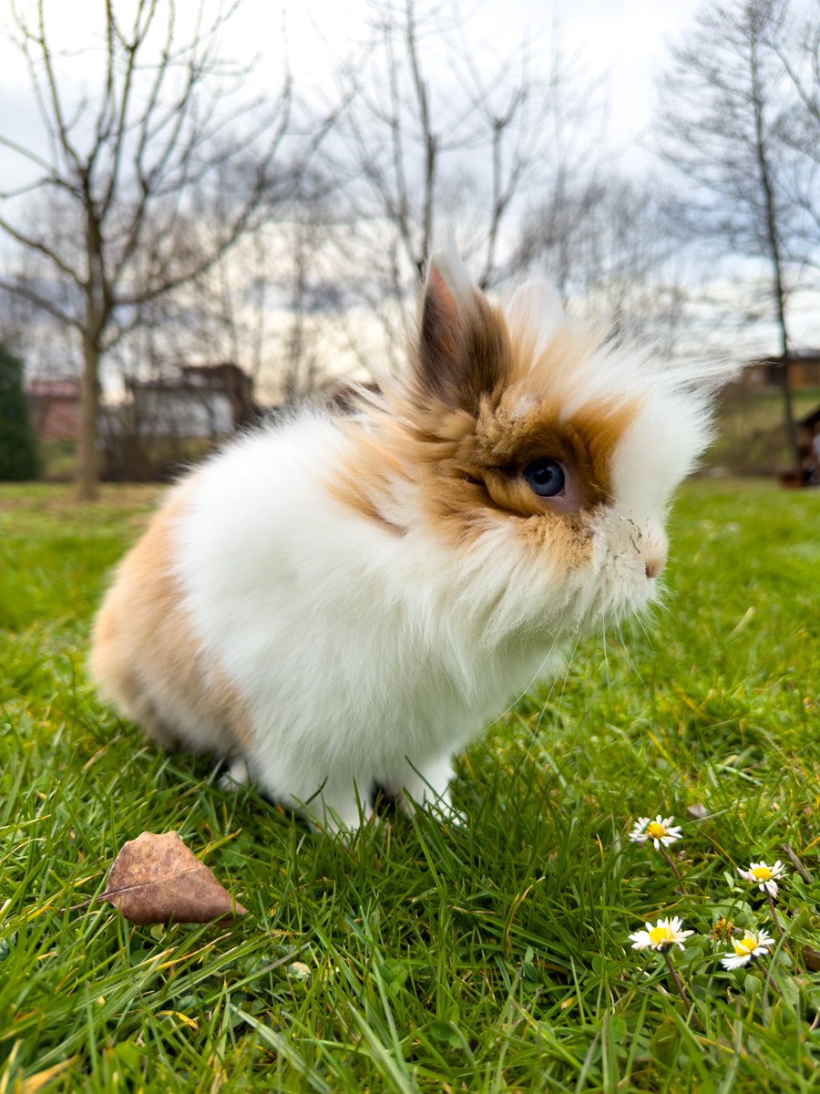 WeedAdd's tweet image. Šta radi zeko?