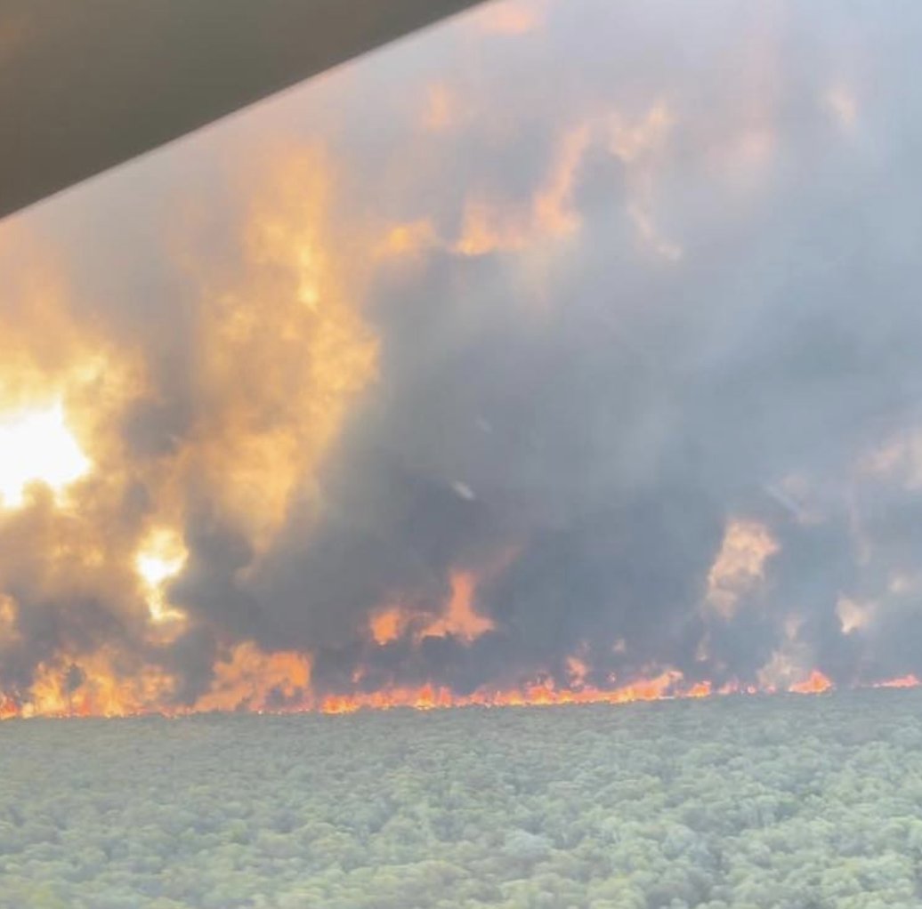 Record-high temps across #NSW yesterday led to elevated fire dangers across the state. 

Read our report here: bit.ly/42mOymt